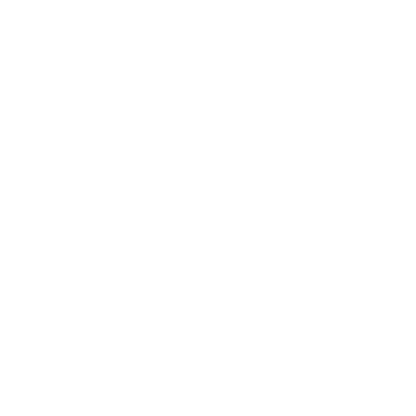 Services Third Icon