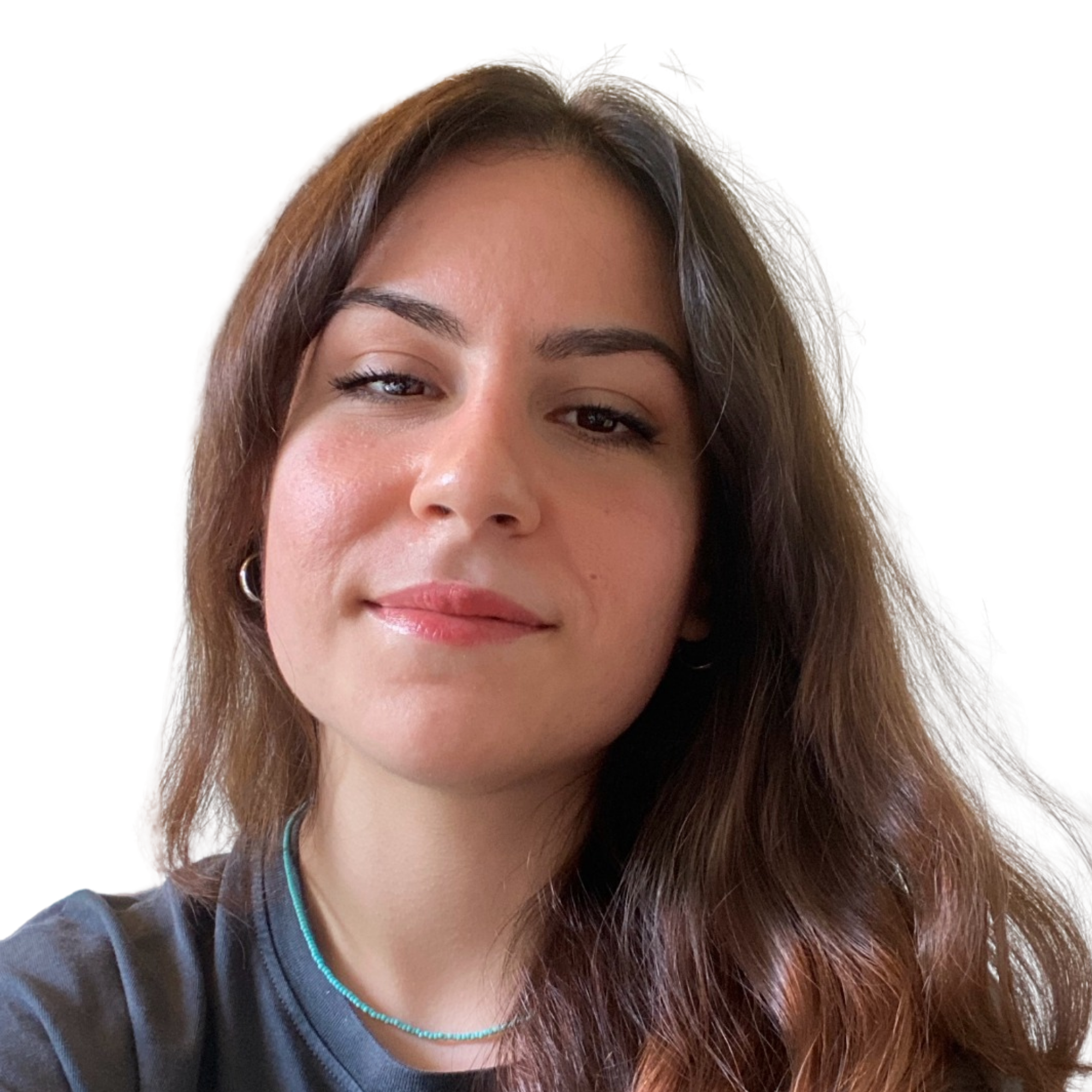 Sude Çatal